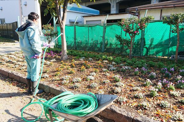 散水作業12月10日（火）晴れ